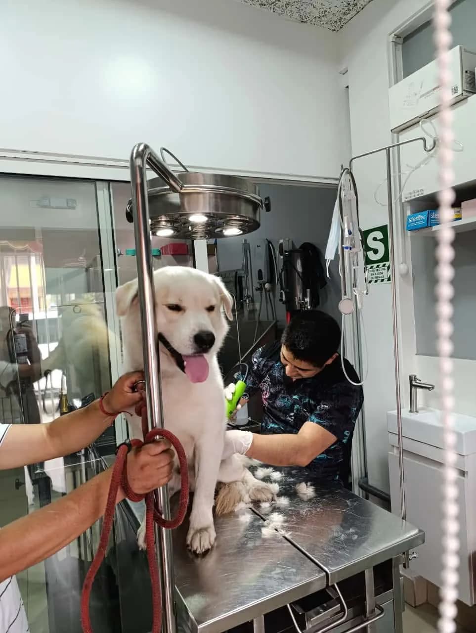 CURALANI Clinica Veterinaria & Pets Traveling