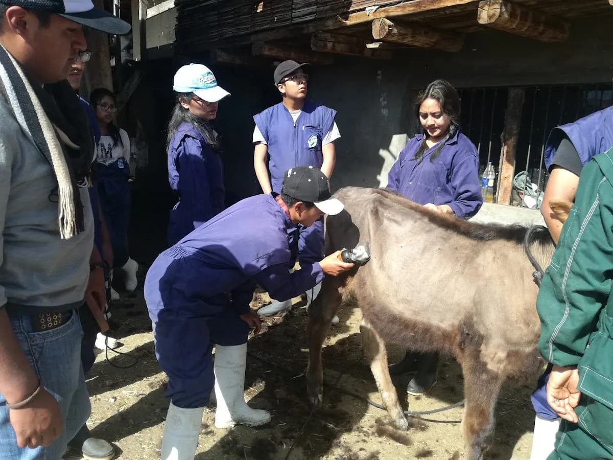 Servicios Veterinarios Alberto Almonacid