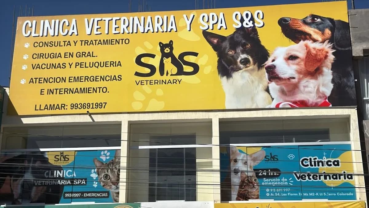 Clínica Veterinaria S&S