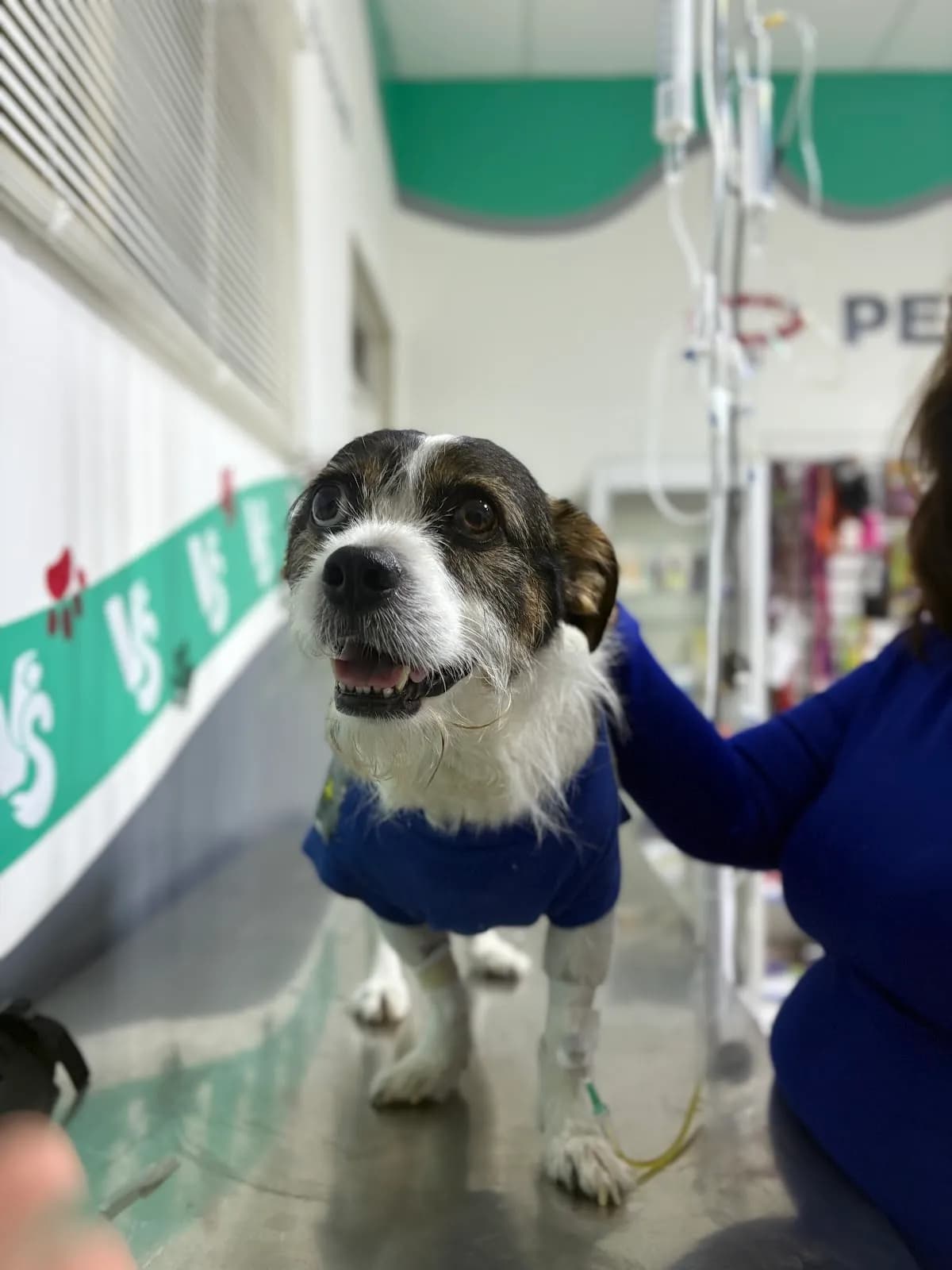 Veterinaria y Pet Shop Sevilla