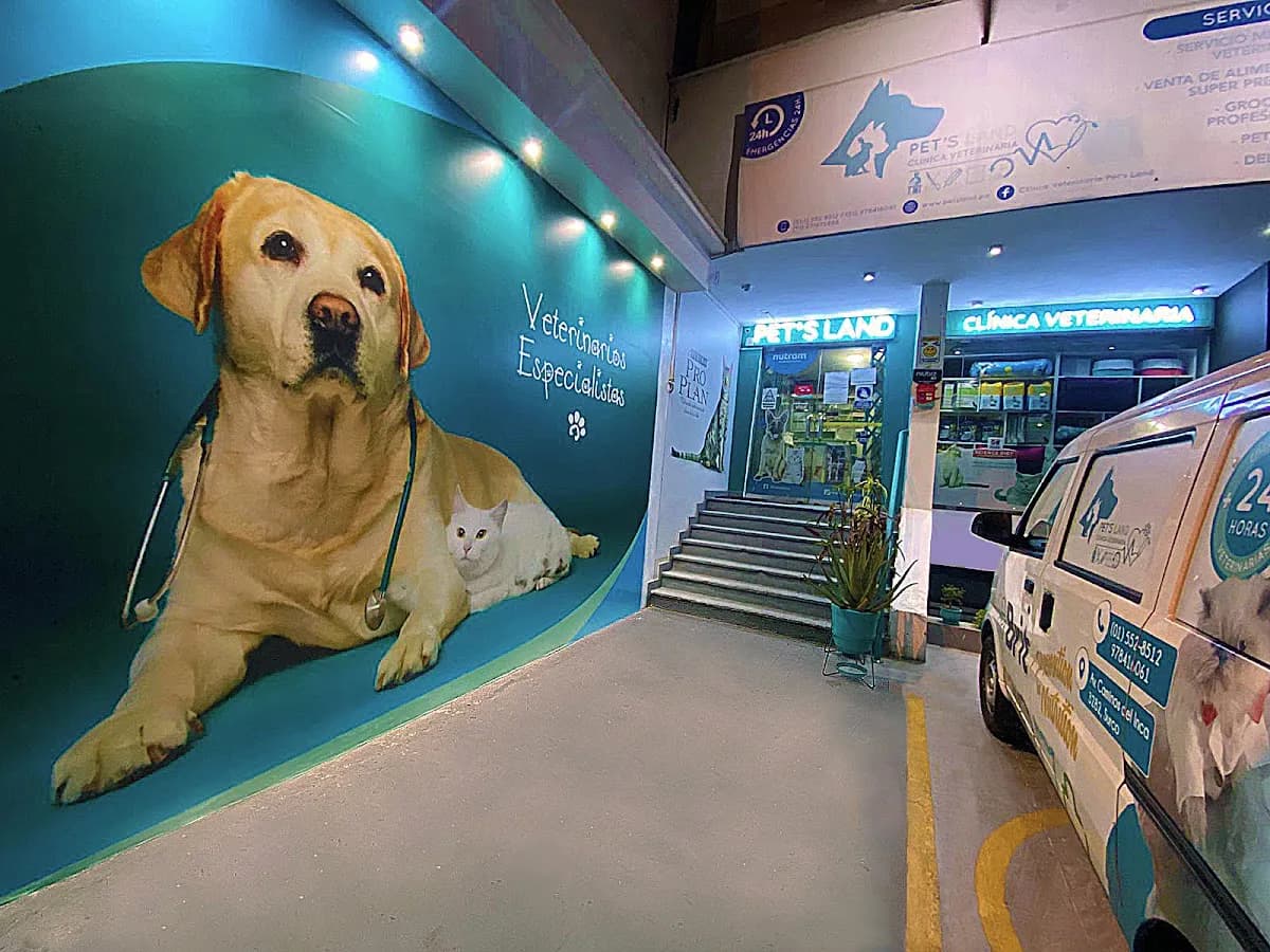 Clínica Veterinaria Pet's Land