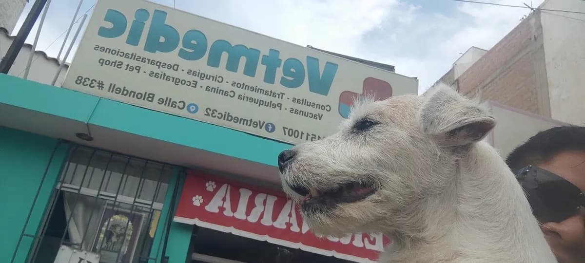 Veterinaria VETMEDIC