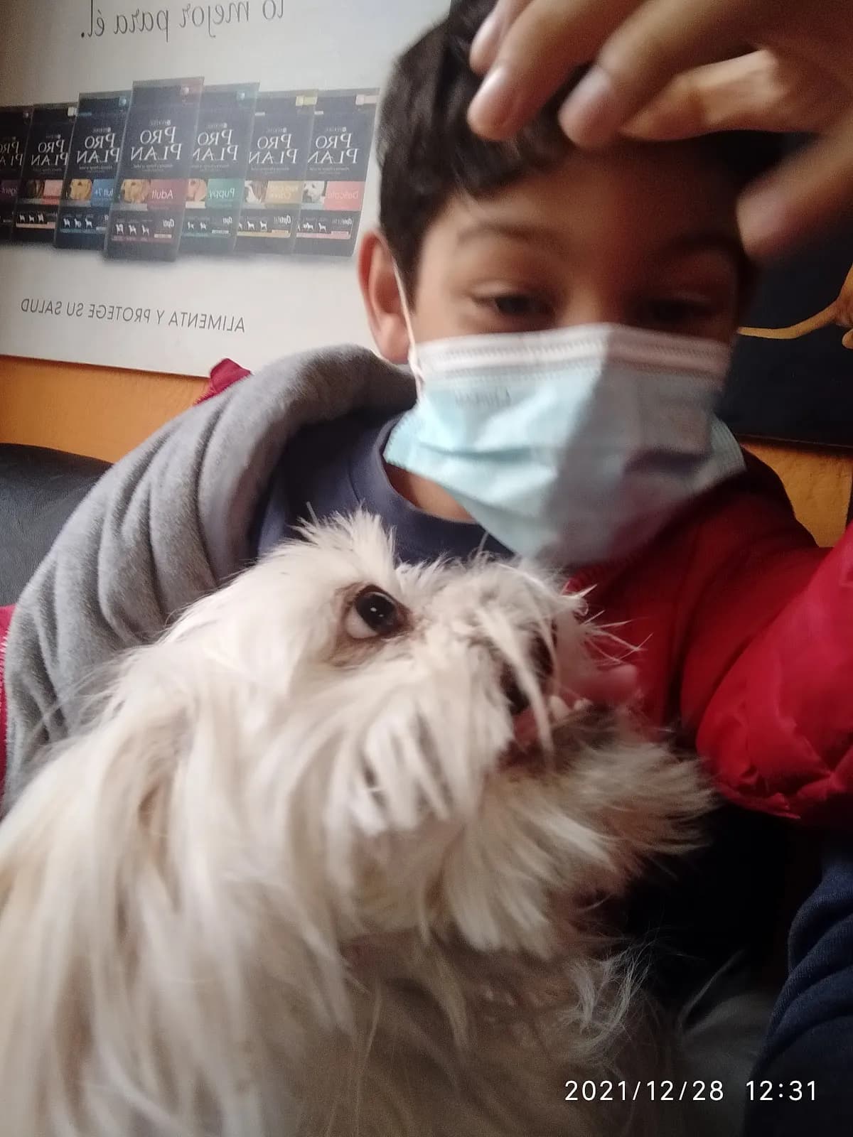 Le Grand Ami Veterinaria