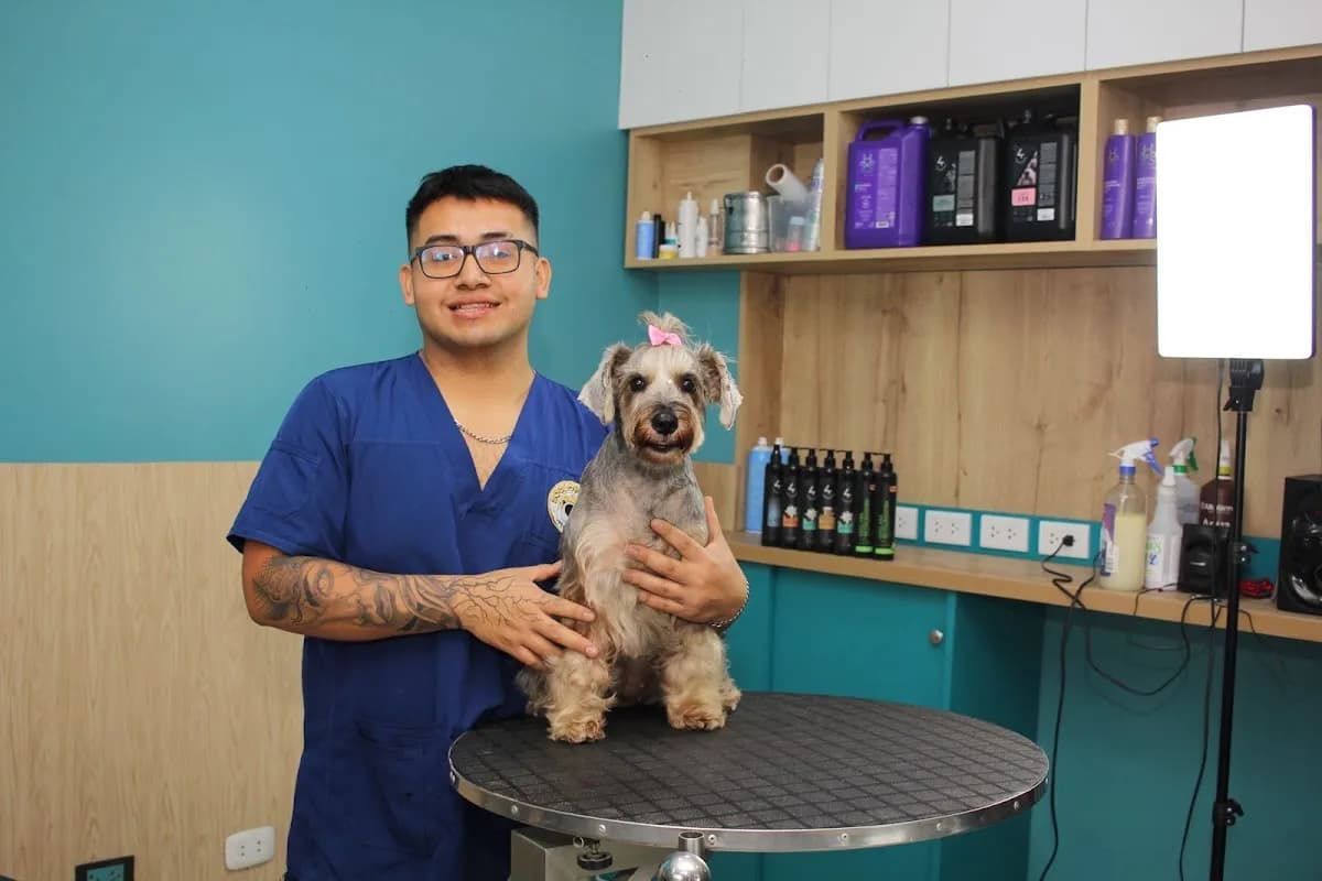 CLINICA VETERINARIA ZOOLOPATAS-PUENTE PIEDRA