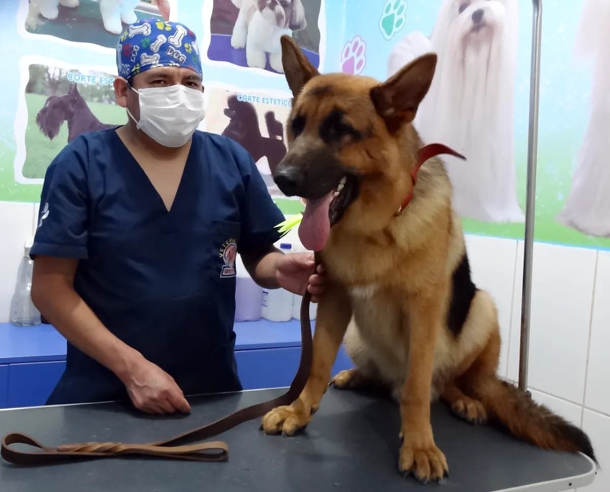 Clínica Veterinaria Satélite