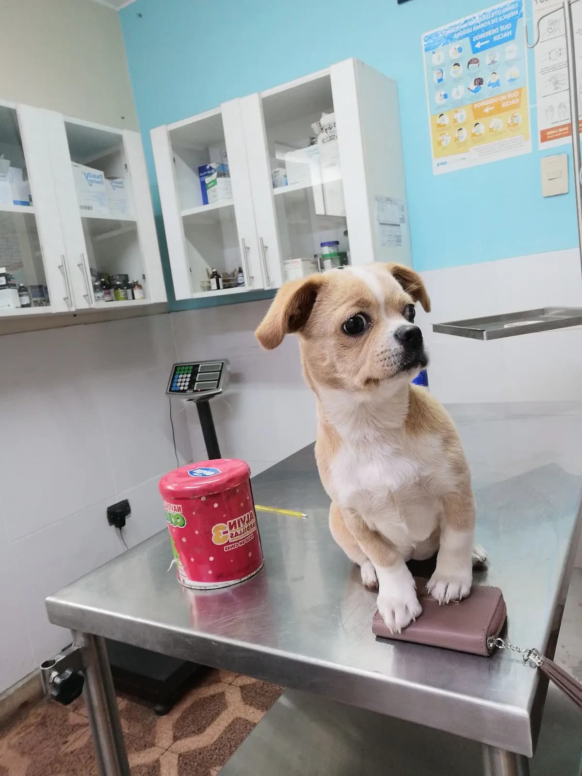 Clínica Veterinaria Doctor Patitas