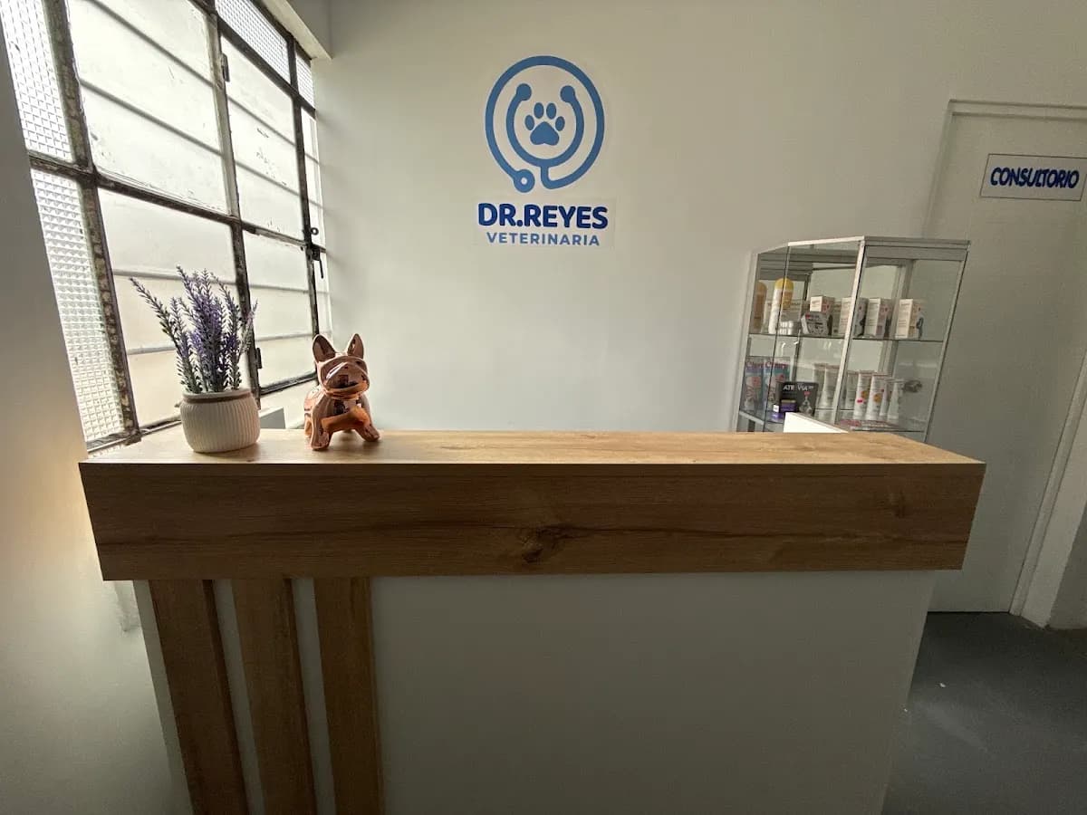 Veterinaria Dr Reyes