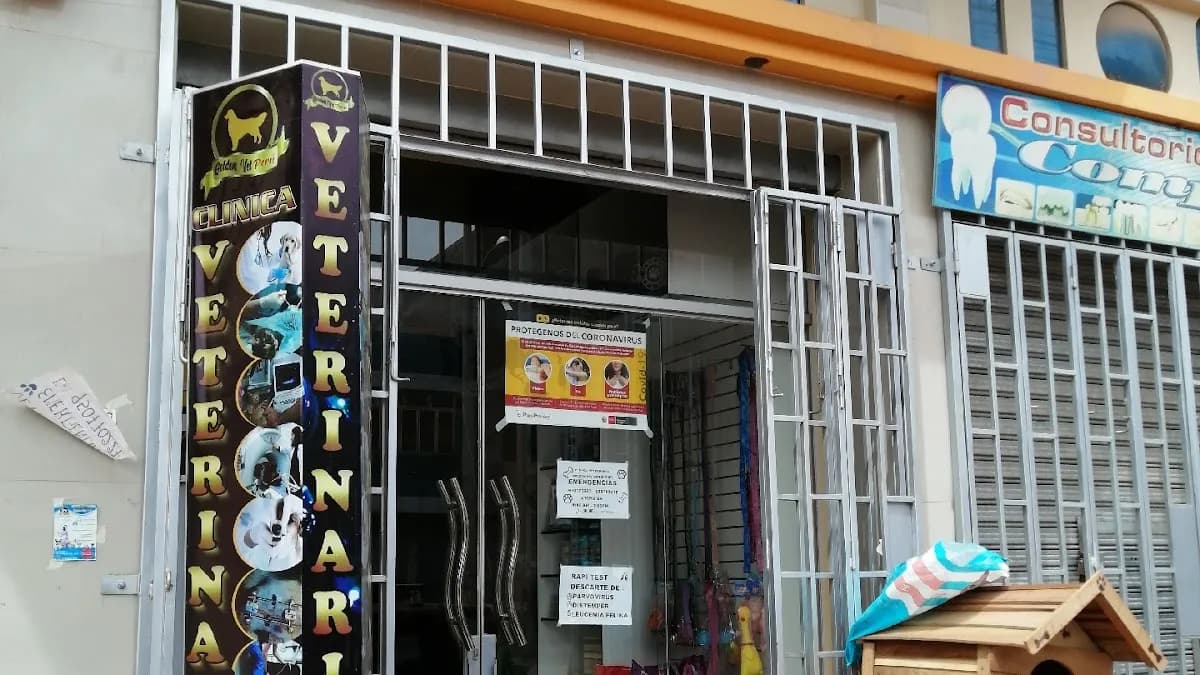 Veterinaria GOLDEN VET San Miguel