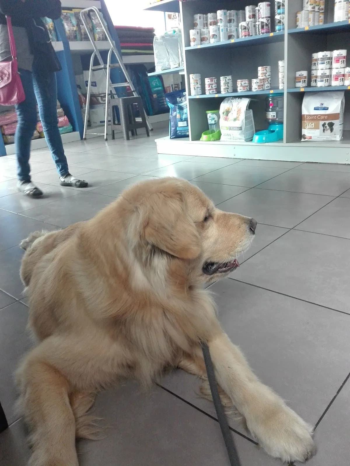 El Hurón Azul Clínicas Veterinarias - Sede San Miguel 24 horas