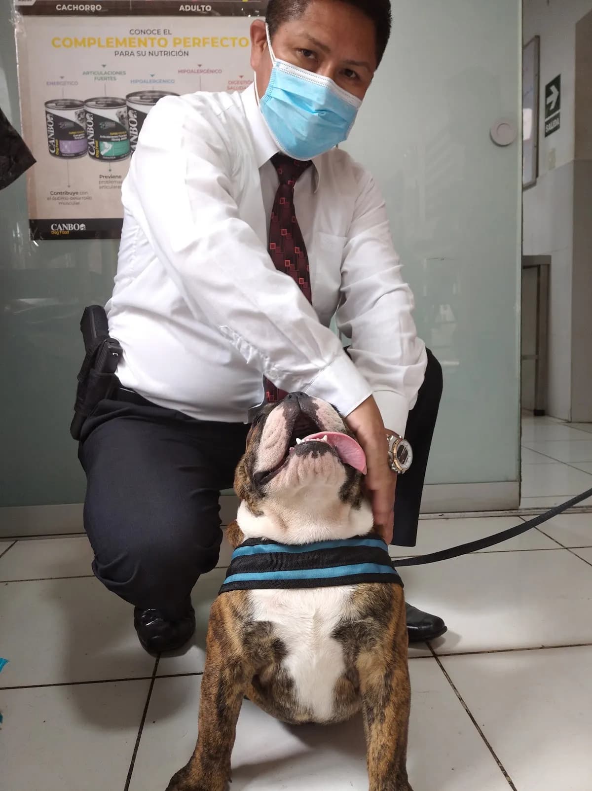 Clinica Veterinaria Sin Papi Bulls - San Juan de Miraflores
