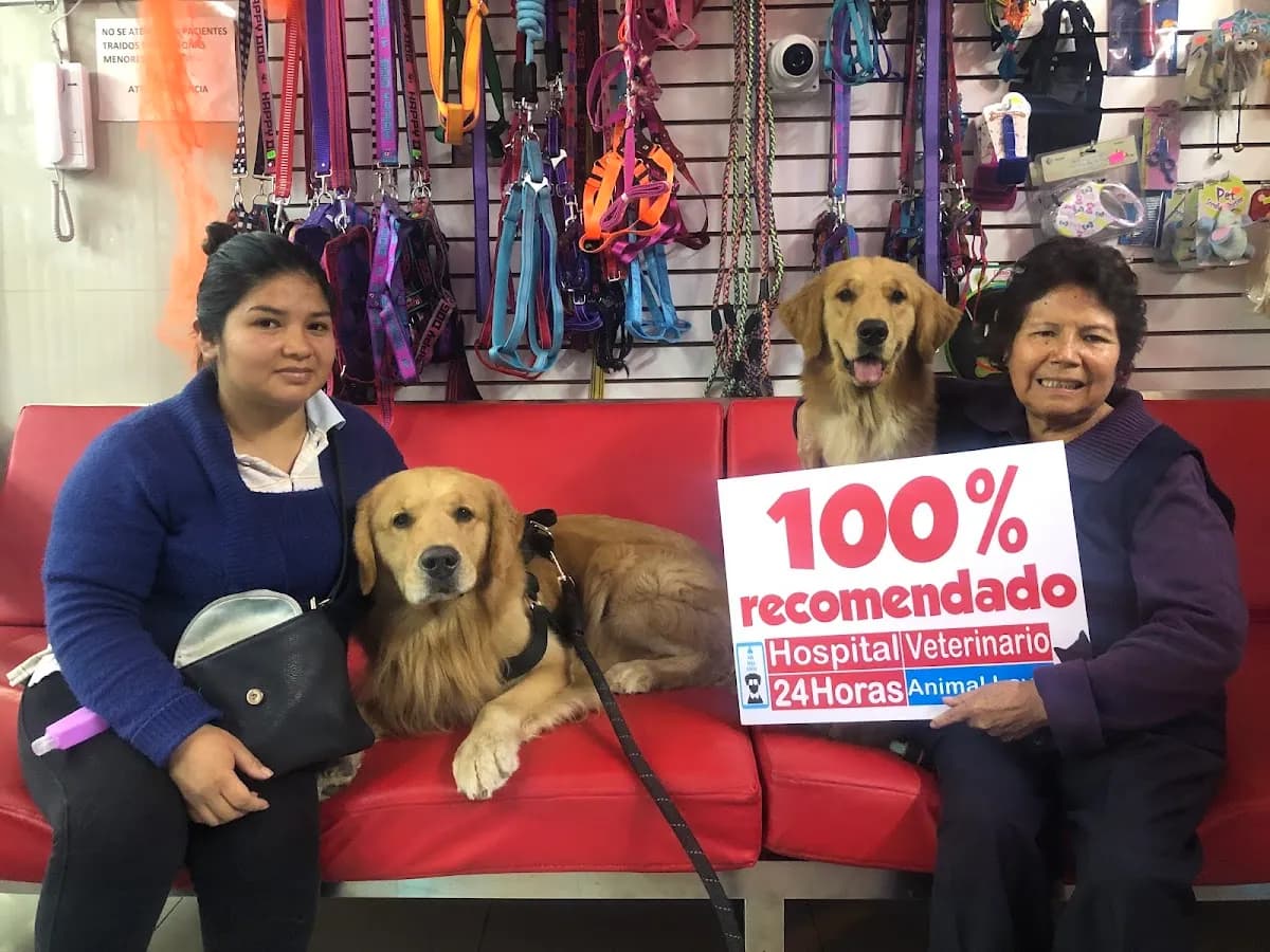 Hospital Veterinario 24 horas Animal love