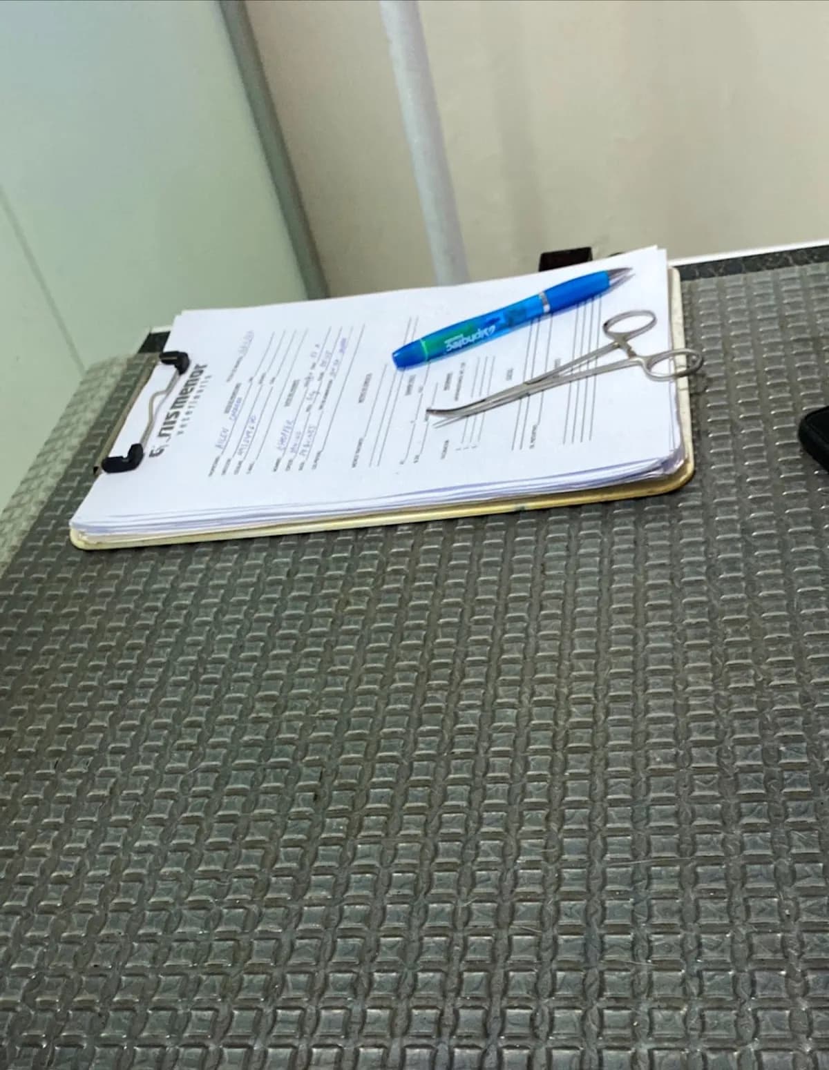 CANIS MENOR Veterinaria