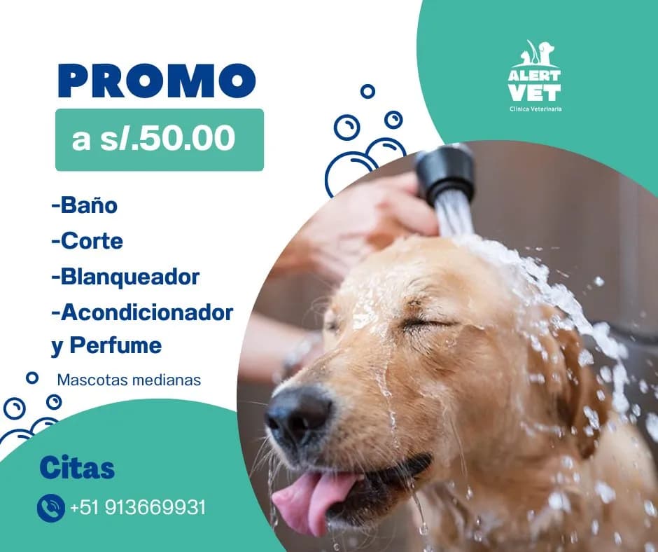 Clínica Veterinaria Alertvet