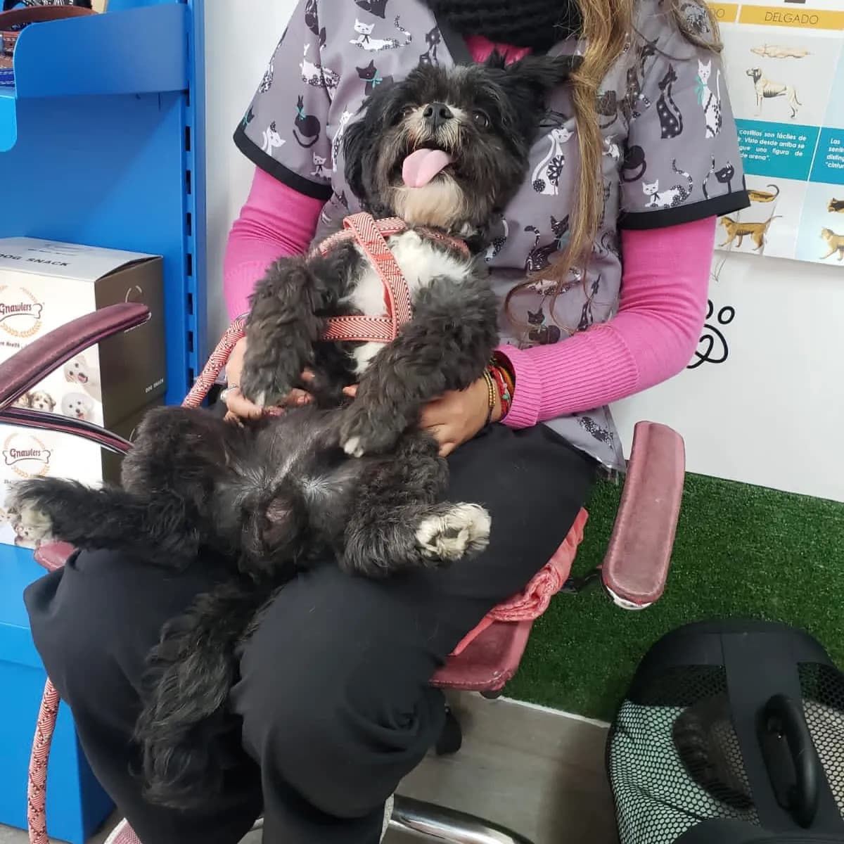 Clínica Veterinaria puntovet.