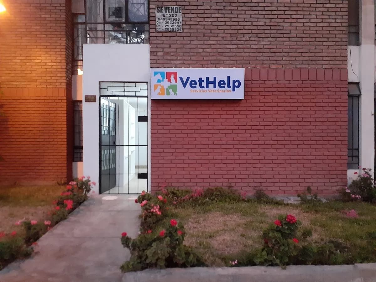 Veterinaria VetHelp
