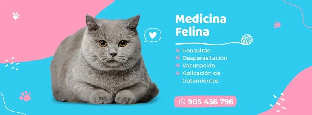Dra. Mittens servicio veterinario