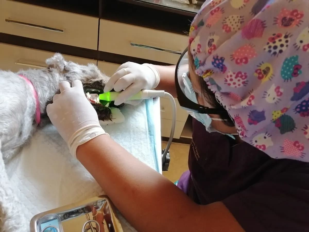 Clinilab Centros Veterinarios EIRL