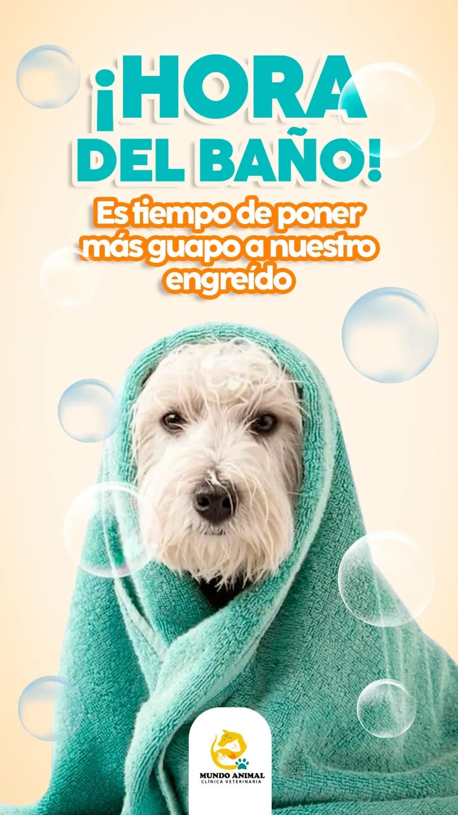 Clínica Veterinaria Mundo Animal