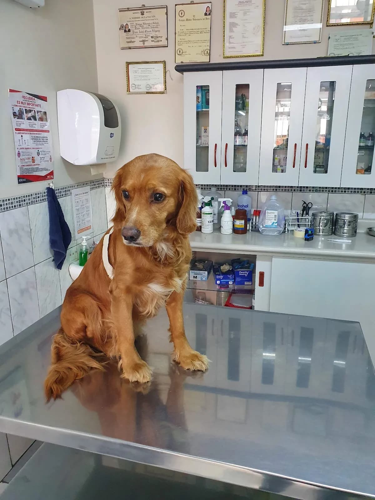 Clínica Veterinaria "Tilda"