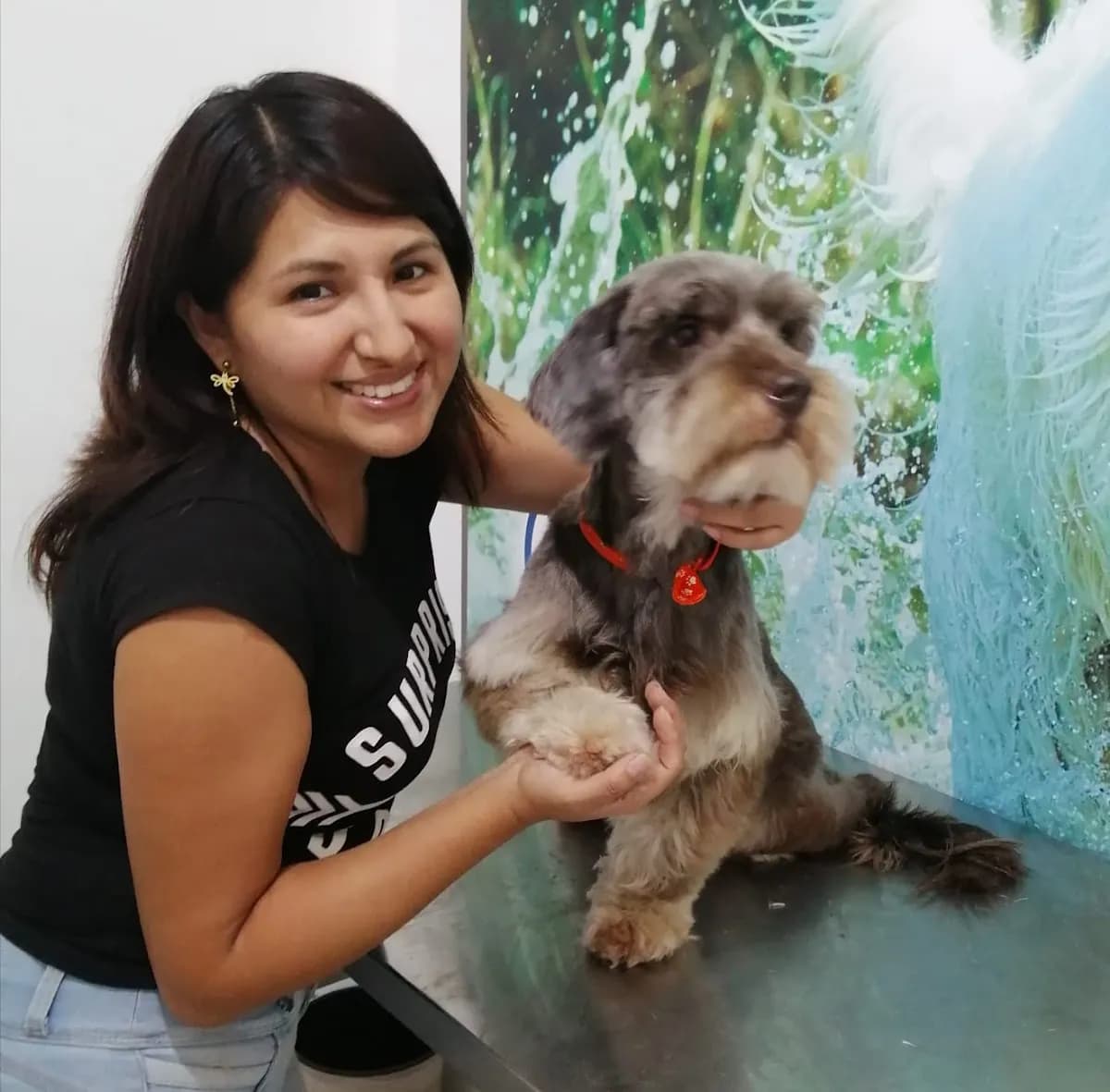 Clínica Veterinaria Don Can