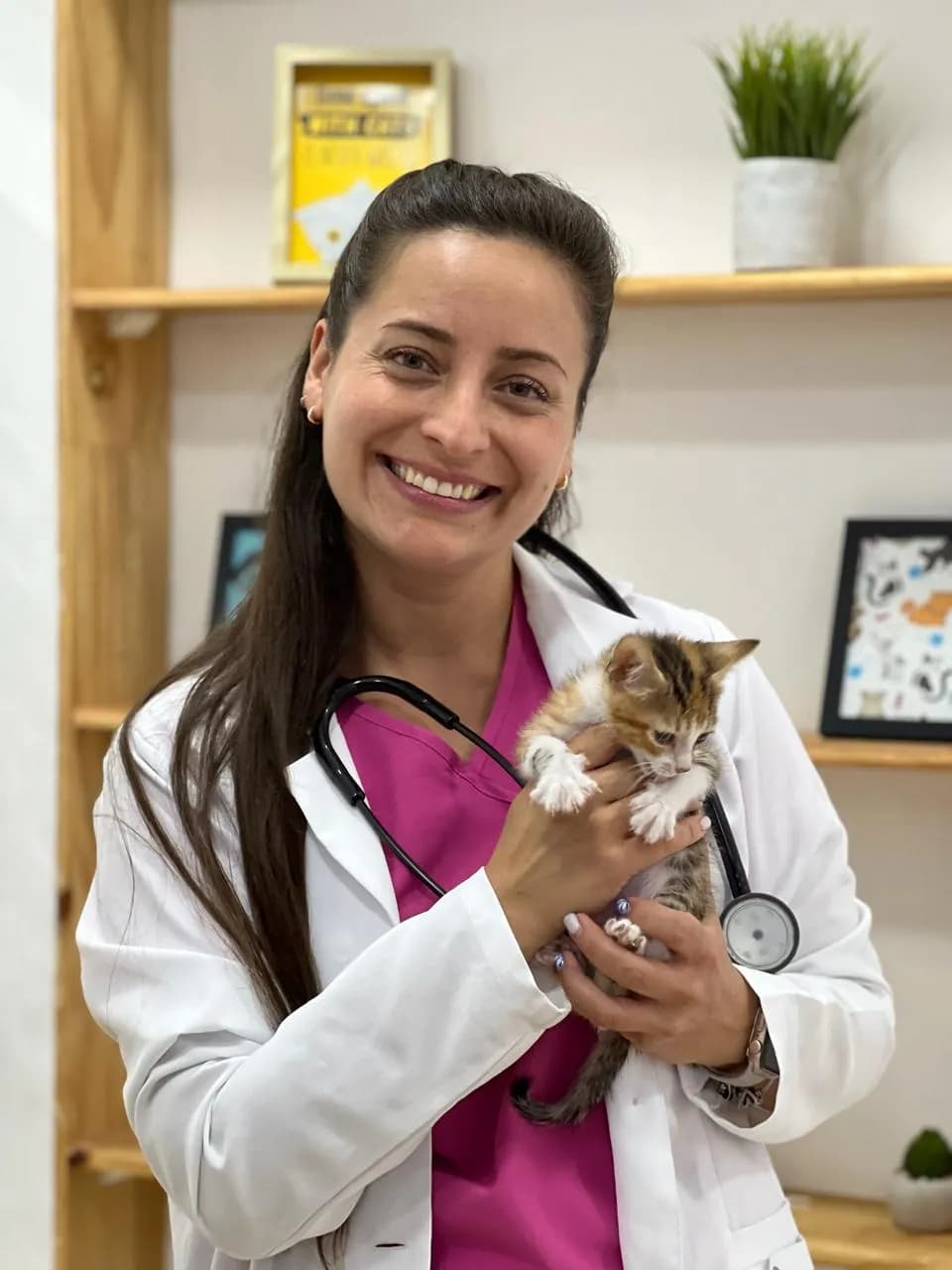 Gattos Clinica Especializada en Medicina Felina - Benavides