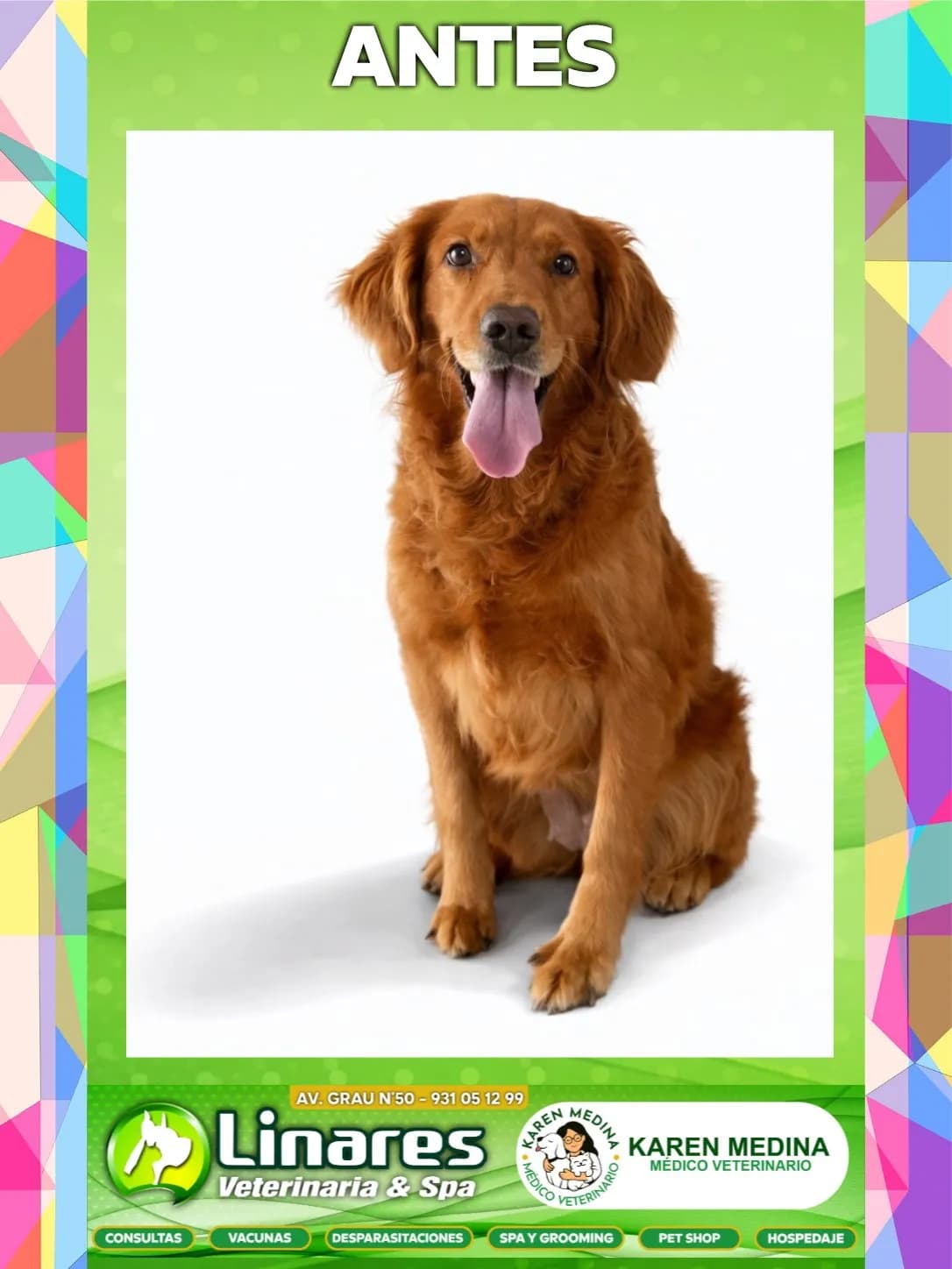 Veterinaria Linares Tacna