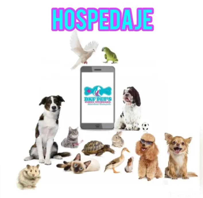 DKF PETS CLINICA VETERINARIA