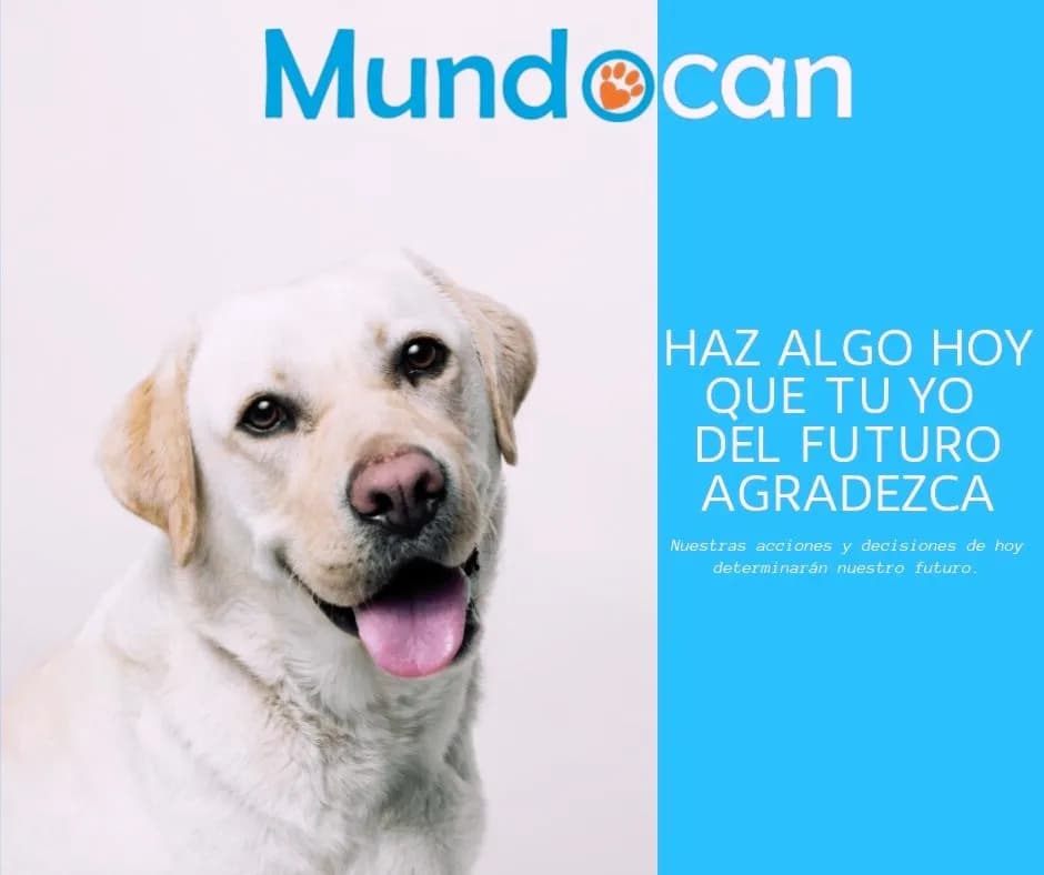Veterinaria Mundocan Perú