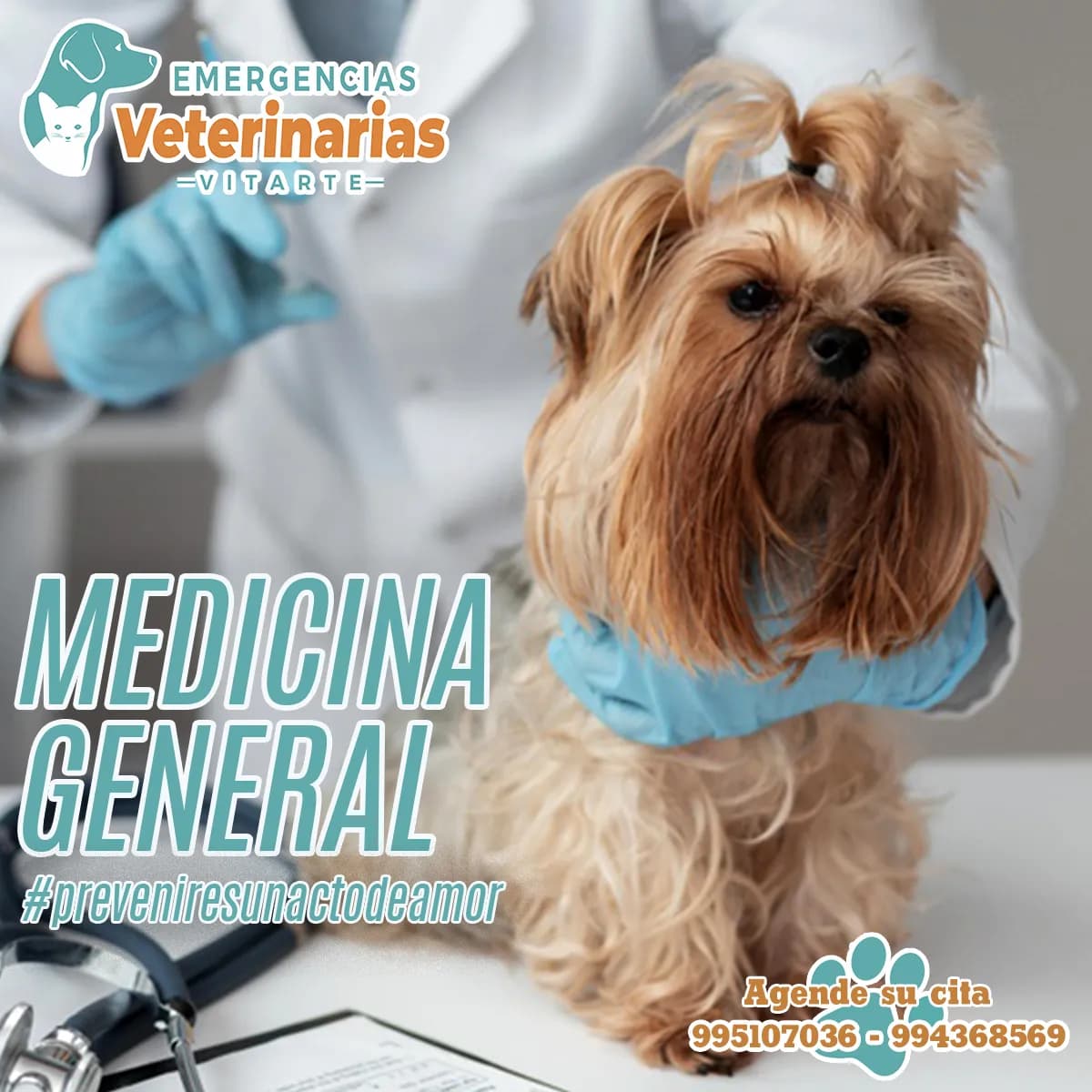 Emergencias Veterinarias Vitarte