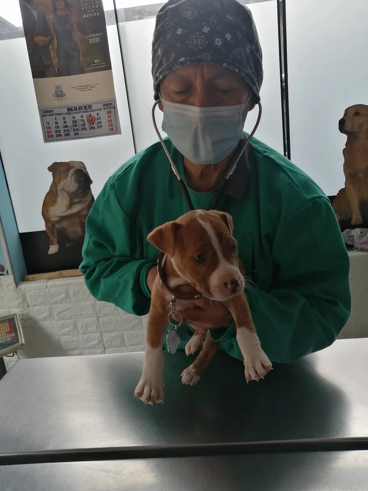 Clínica Veterinaria Dogtor Walter