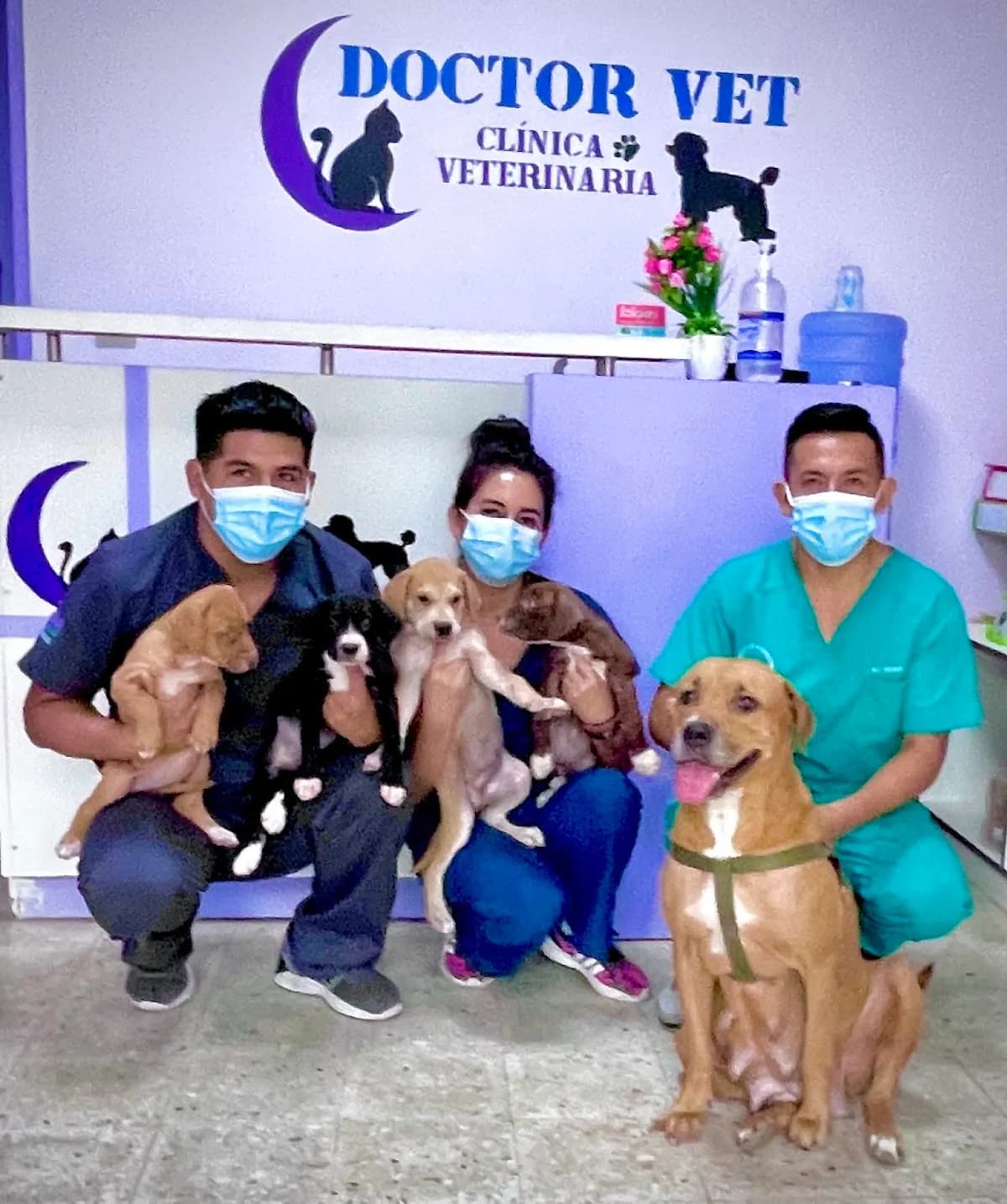 Clínica Veterinaria Doctor Vet