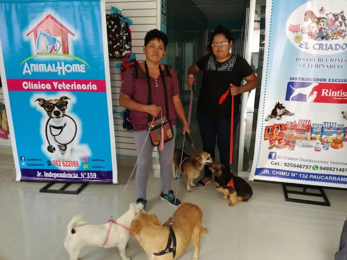 Animal Home Clínica Veterinaria