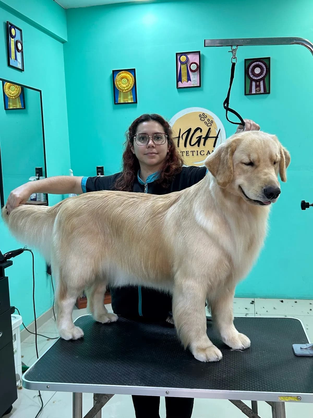 Consultorio veterinario HighEstetican