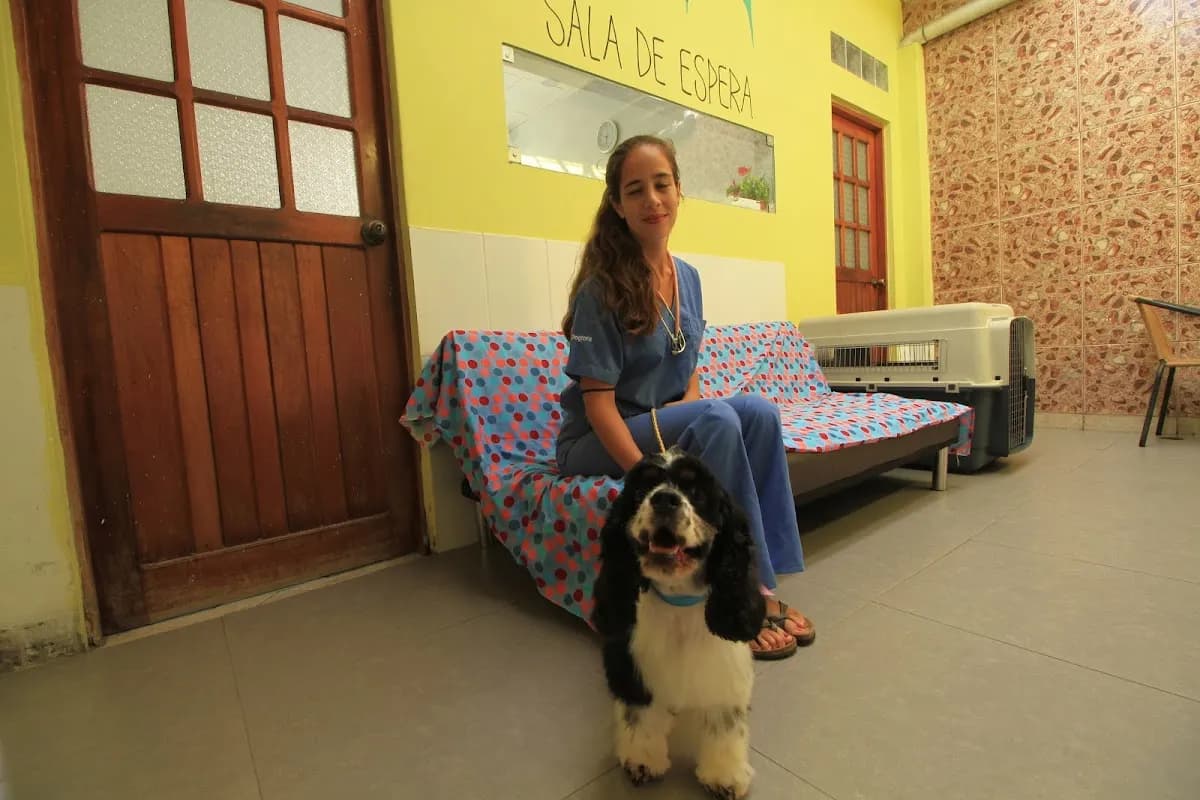 Clinica Veterinaria Mi Dogtora