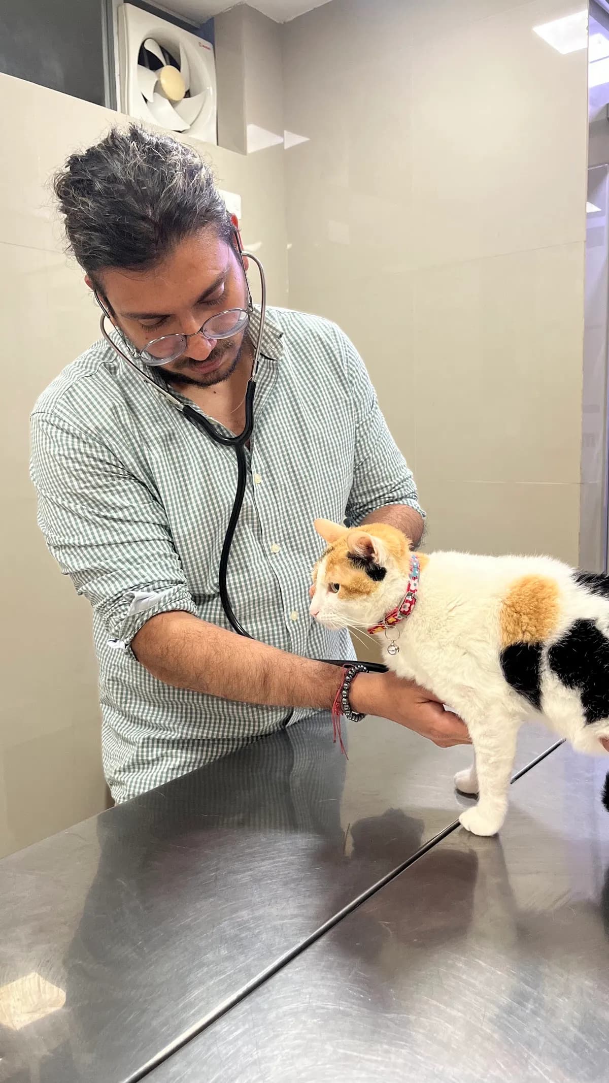 Clínica veterinaria Mascota Feliz