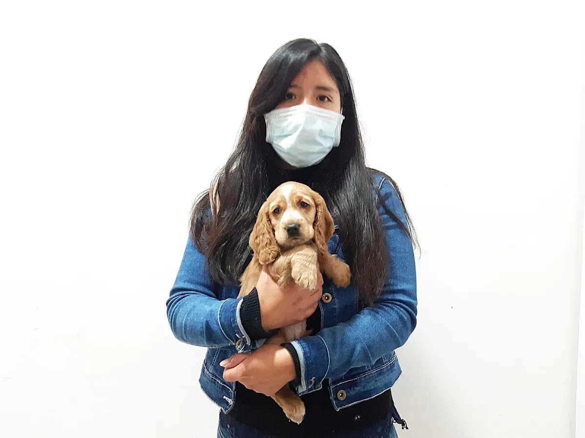 Clínica Veterinaria COMO REYES Huánuco