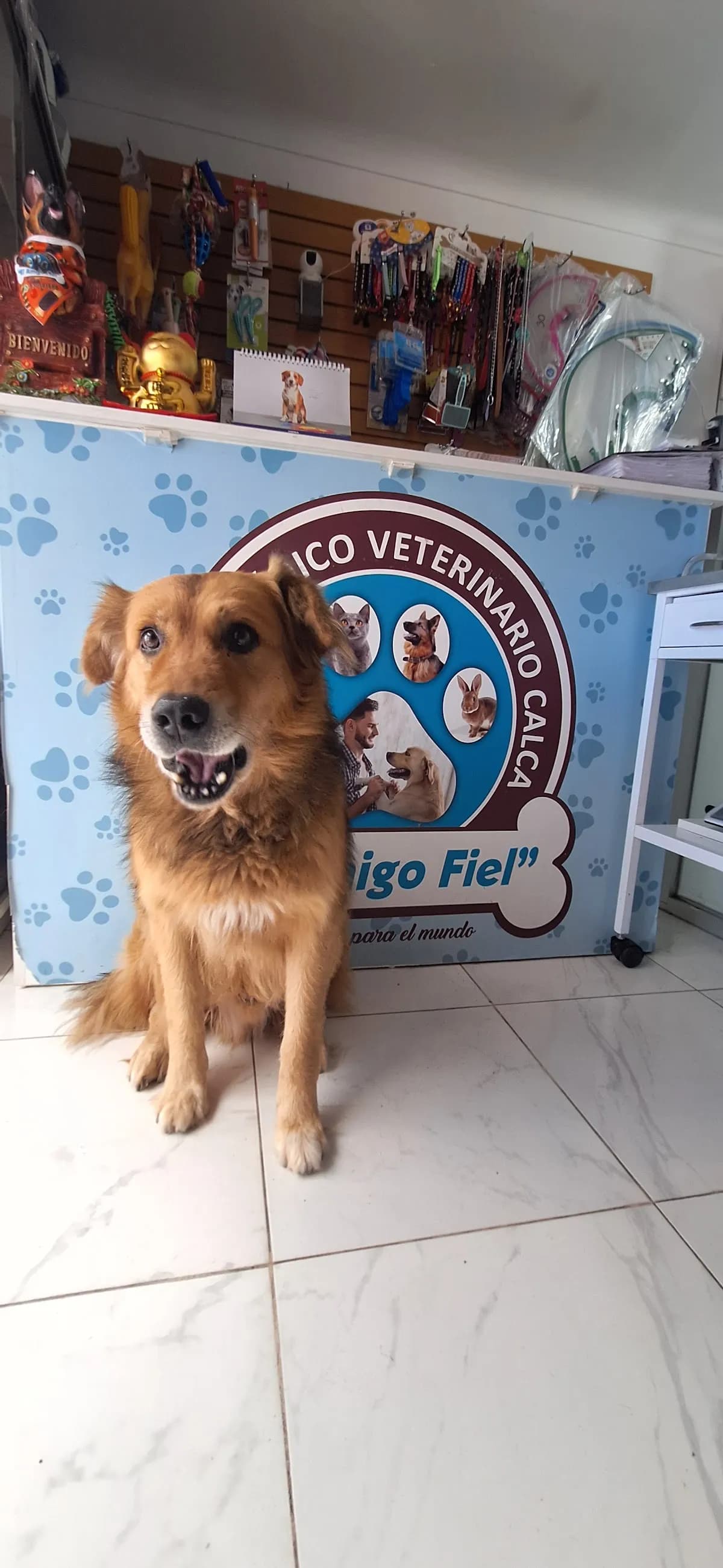 Clínica Veterinaria "El Amigo Fiel"