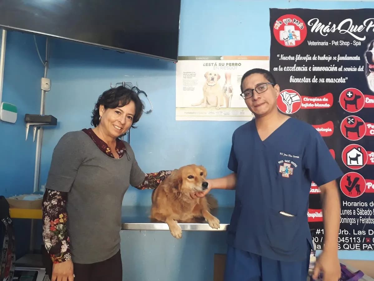 CLINICA VETERINARIA MAS QUE PATAS