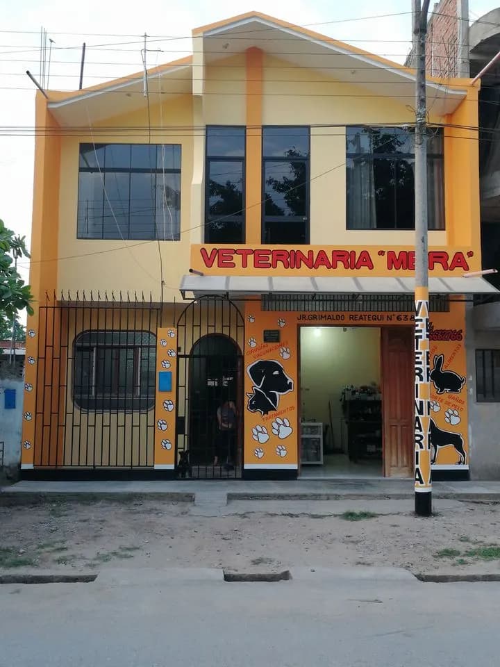 clinica veterinaria mera