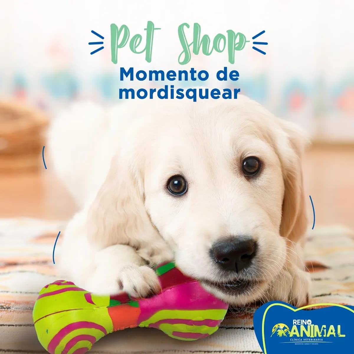 Clínica Veterinaria Reino Animal