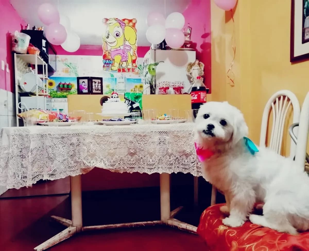 Clínica Veterinaria Dr. Rosas