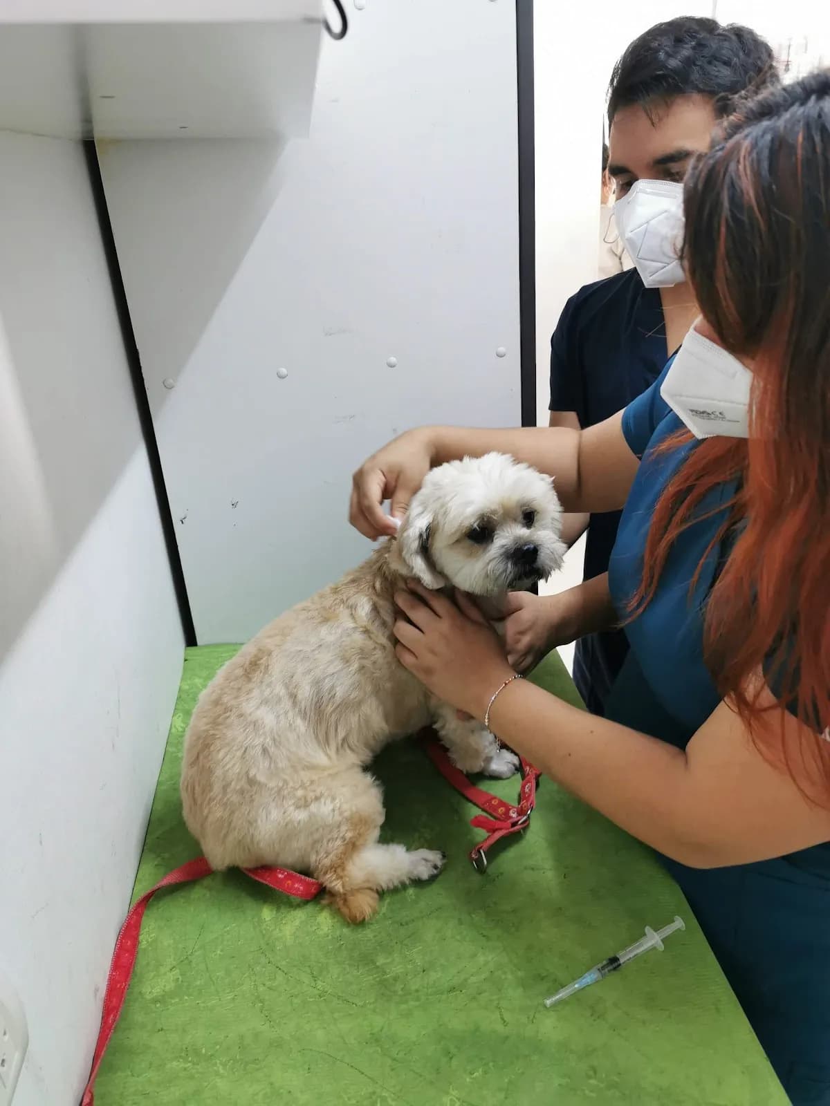 Prana Clínica Veterinaria