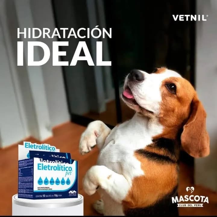 VETERINARIA, BOUTIQUE & SPA "MIS HUELLITAS"