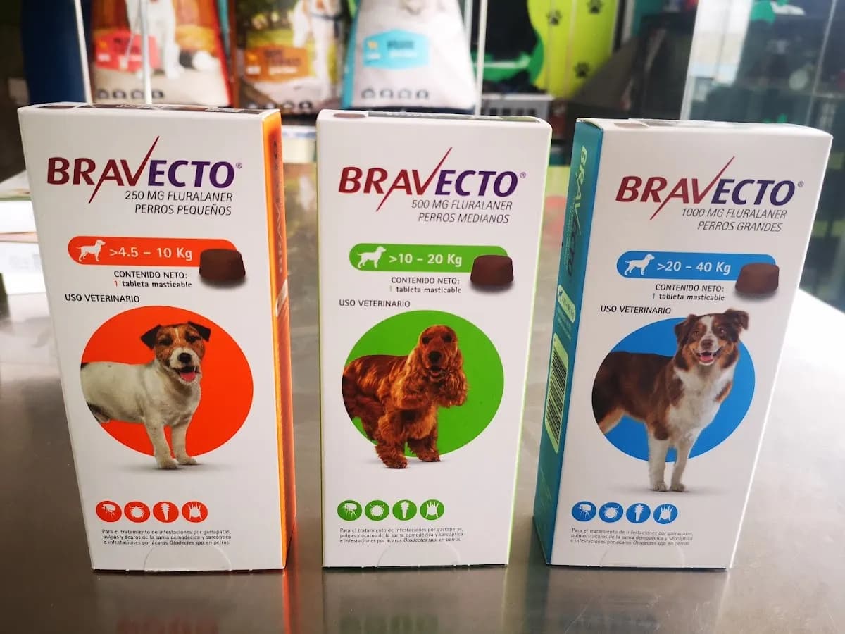 Veterinaria Hachiko