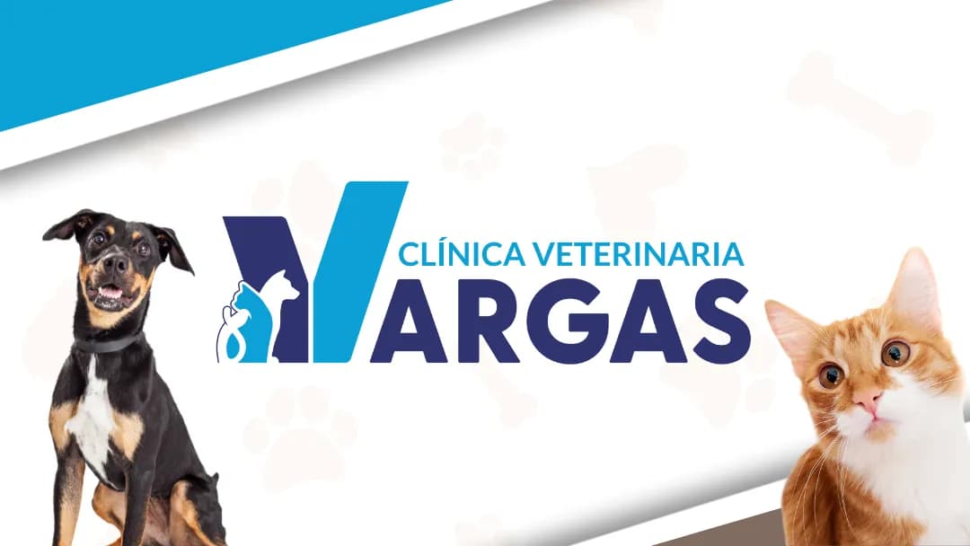 Clínica Veterinaria Vargas