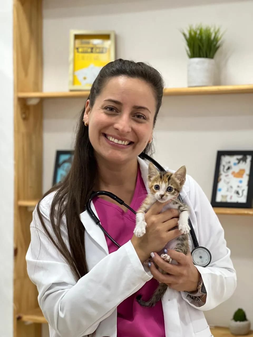 Gattos Clinica Especializada en Medicina Felina
