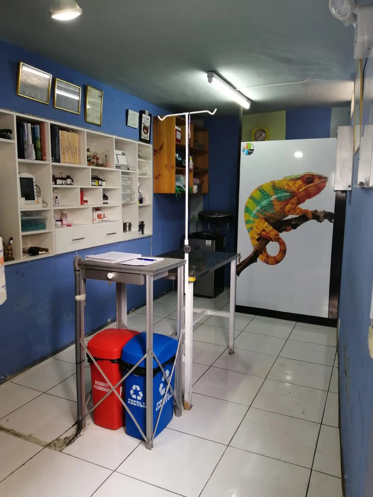 Clínica Veterinaria Velasquez