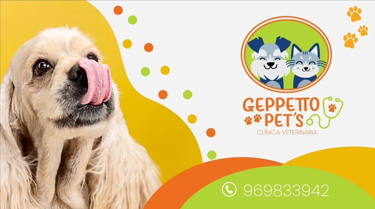 Clínica Veterinaria Geppetto Pet´s