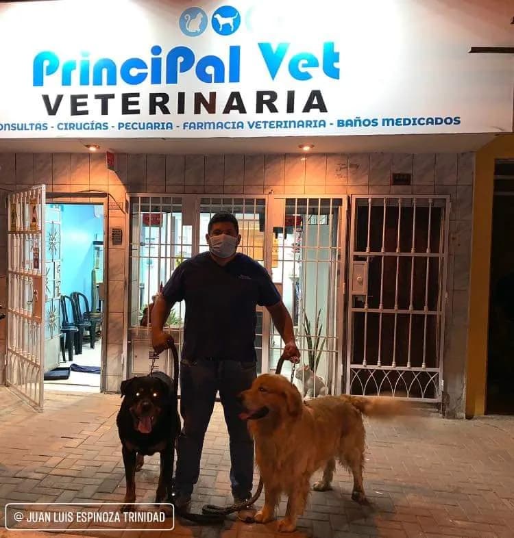 CLINICA VETERINARIA PRINCIPAL VET