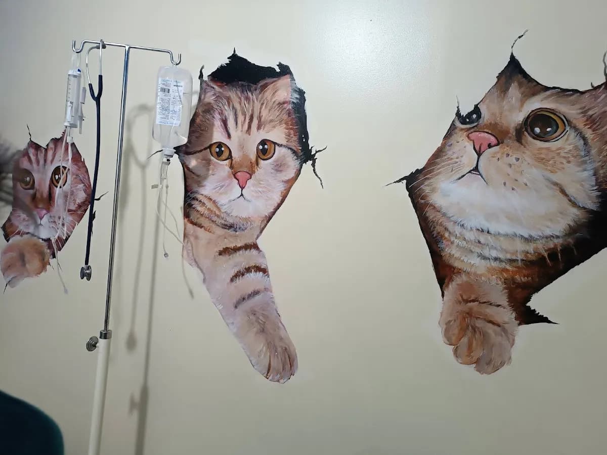 Veterinaria posta oasis